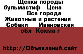 Щенки породы бульмастиф › Цена ­ 25 000 - Все города Животные и растения » Собаки   . Ивановская обл.,Кохма г.